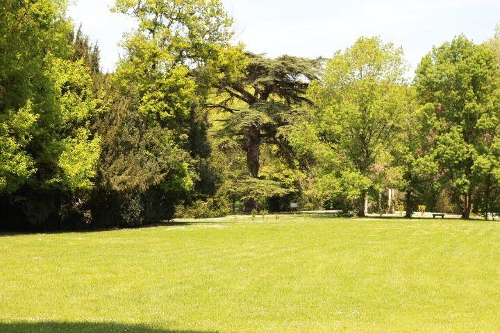 Chateau Castelrives Bessières Buitenkant foto
