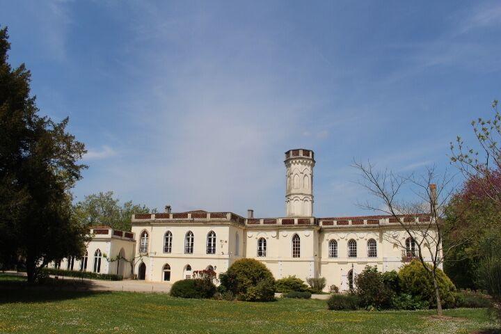 Chateau Castelrives Bessières Buitenkant foto